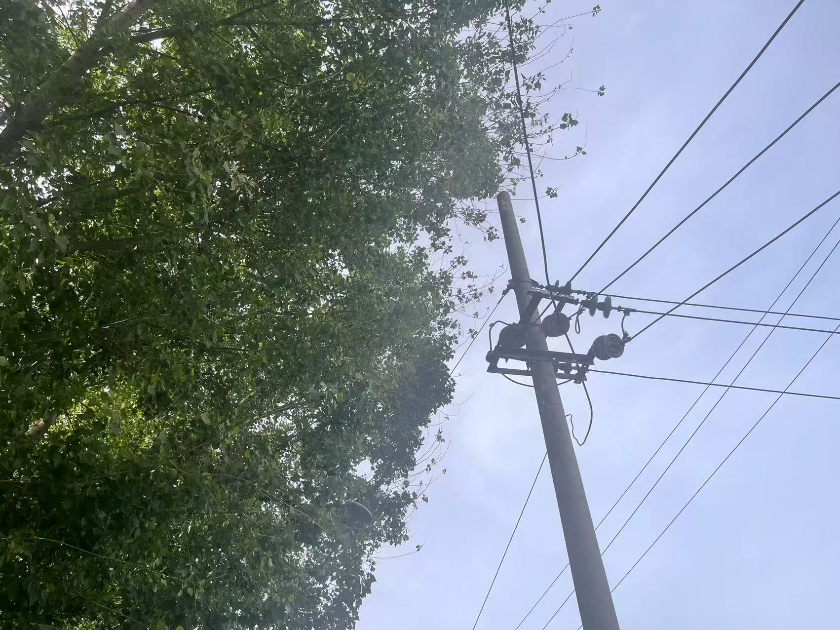 微信图片_20250507104658.jpg